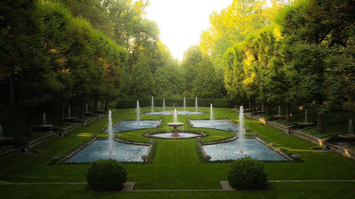 kyler_steele's tweet image. the camera            vs             the photos