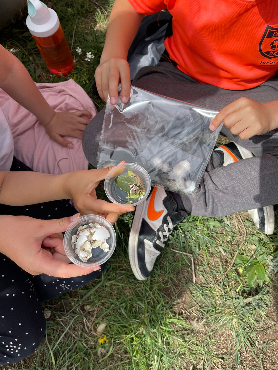ie_martamata's tweet photo. Aquesta tarda els infants de 2n hem sortit a observar els ocells del nostre entorn: hem trobat plomes, ous, excrements i també hem vist diferents tipus d'ocell com: l'aguilot, orenetes i una merla. #PriIEMM https://t.co/bu2rg646PY