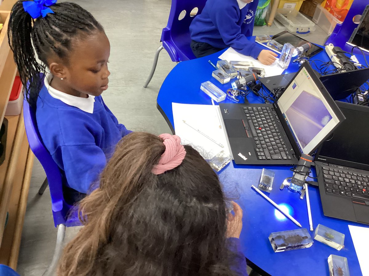 LarkHallPrimary's tweet photo. Reception learnt so much during their CLC visit ‘Exploring Minibeasts’ linked to our new ‘Shrubs and Bugs topic’. #lheyfs2122 #lhtower #lhlondon #lhstu #lhcomputing #lhua @LdnCLC https://t.co/Zv21vQFw9E