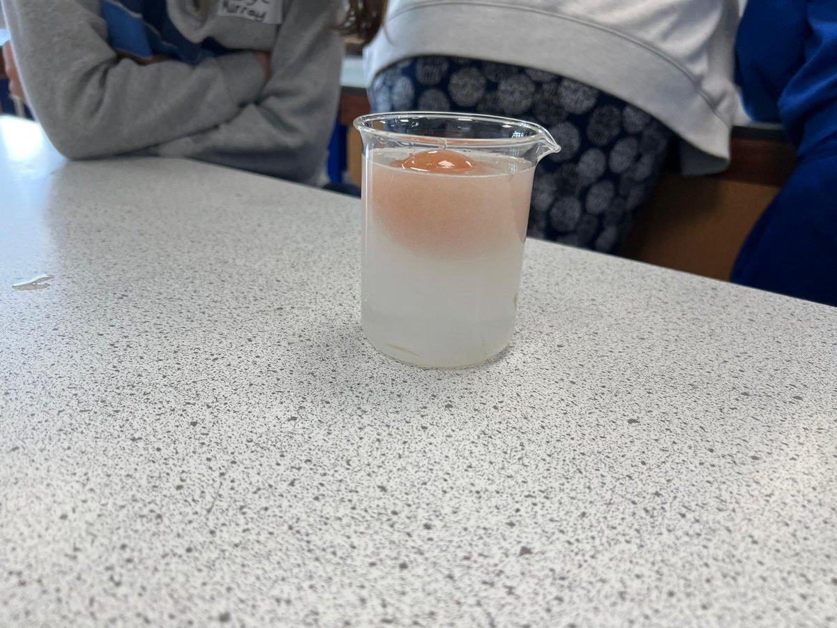 Kelmscott School (@kelmscottschool) on Twitter photo EGG-Citing news <a href="/BarnCroft123/">Barn Croft Primary </a> our chicks 🐥 have hatched 🐣 our second session started with a big surprise. Year 4 students learning all about the life cycle of an egg and other cool egg experiments. #puttinglearningfirst #hatchingchicks EGG-Citing news <a href="/BarnCroft123/">Barn Croft Primary </a> our chicks 🐥 have hatched 🐣 our second session started with a big surprise. Year 4 students learning all about the life cycle of an egg and other cool egg experiments. #puttinglearningfirst #hatchingchicks