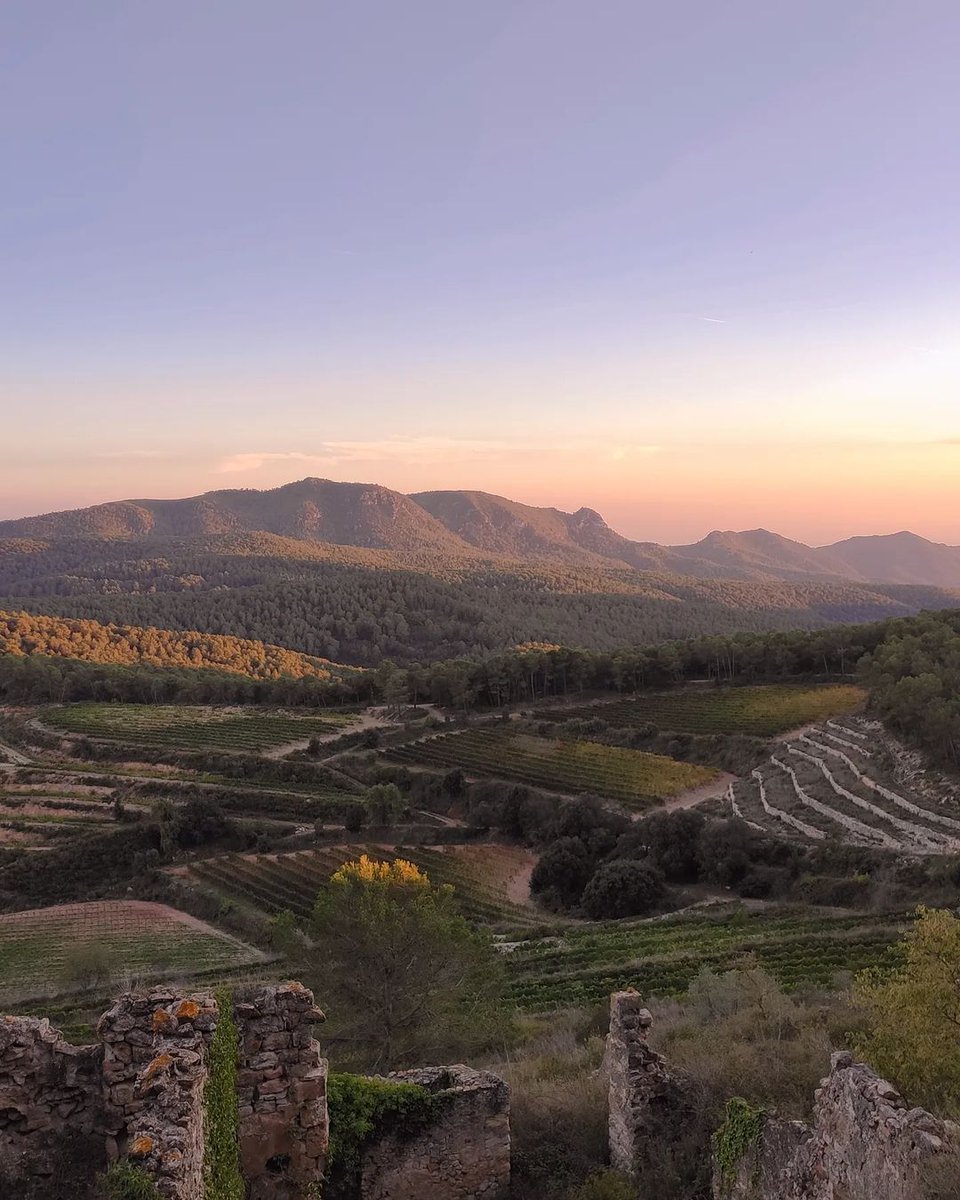 penedesturisme's tweet image. La calma del #Montmell que es respira en aquesta foto és... ✨❤️ Coneixes aquesta part més desconeguda del Penedès?

📸  @judylandscapes (perfil Instagram)

#penedesexperience #penedesturisme @bcnmoltmes @catexperience