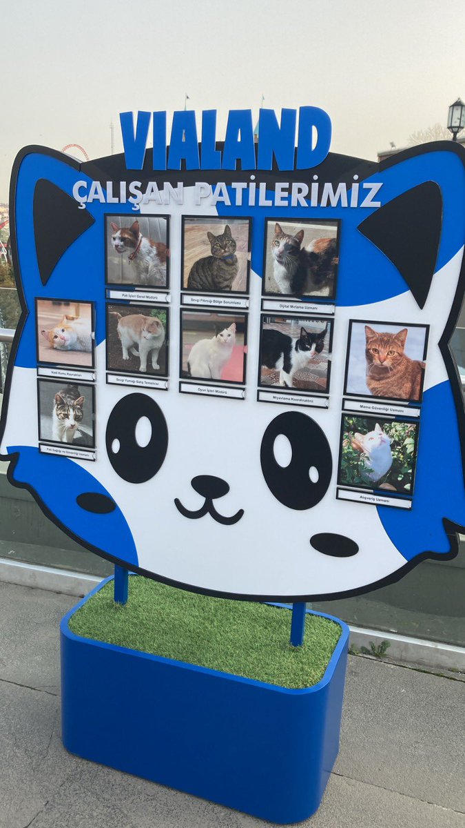 Minik dostlarımız, artık Çalışan Patilerimiz. Vialand Caddeleri’ni artık kediler de yönetiyor! 🥳🐱