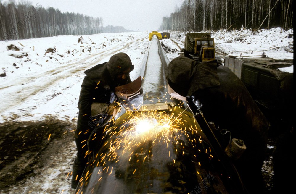 Katja Hoyer tweet media