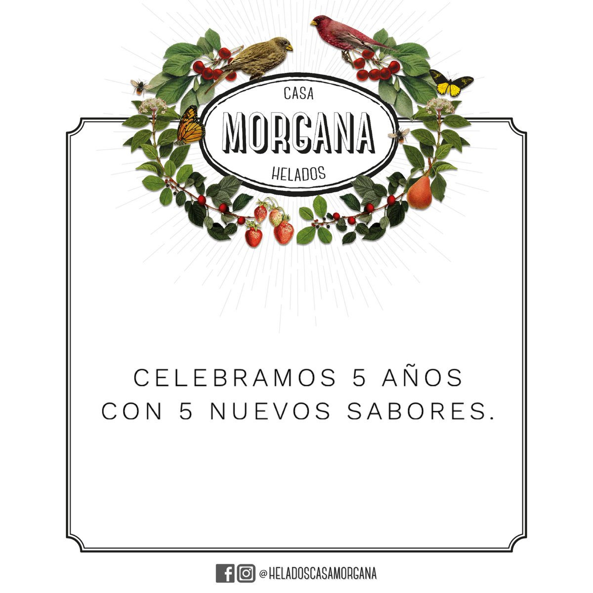 Helados Casa Morgana tweet media