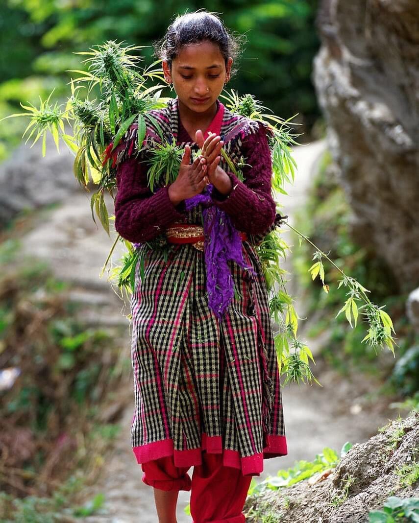 Plant medicine. Removing the stigma. #EndCannabisProhibition