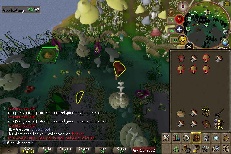 Dangis69's tweet photo. claiming a daily pet on my GIM (9/50)

p.s. ignore inventory tags, ty https://t.co/pHKAS6Gyqv