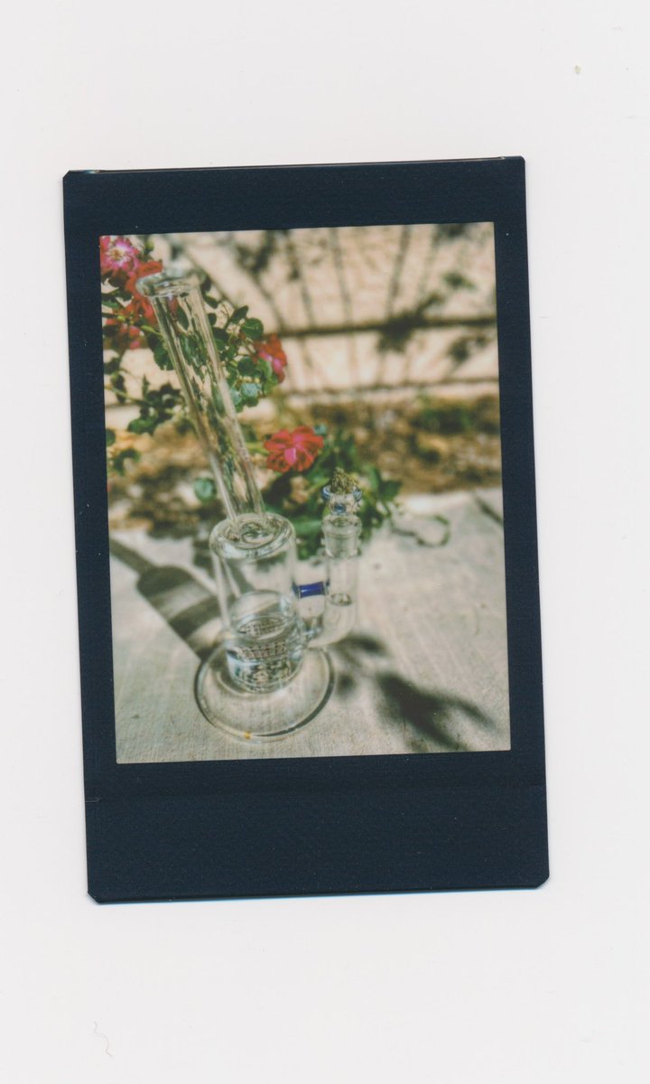 GM this is still one of my all time favorites photos! #Mmemberville #CannabisCommunity #cannabisart let’s actively floats through this day!