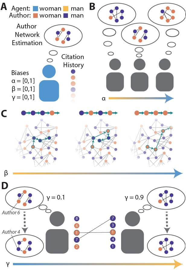 Jennifer Stiso, PhD tweet media