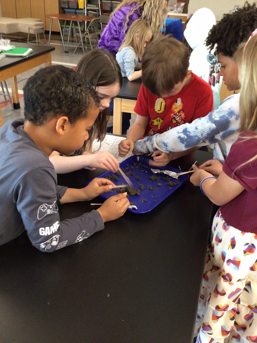 AES STEAM Ss are digging into Biology with an owl pellet dissection today! <a href="/OAUpdate/">OA Schools</a>