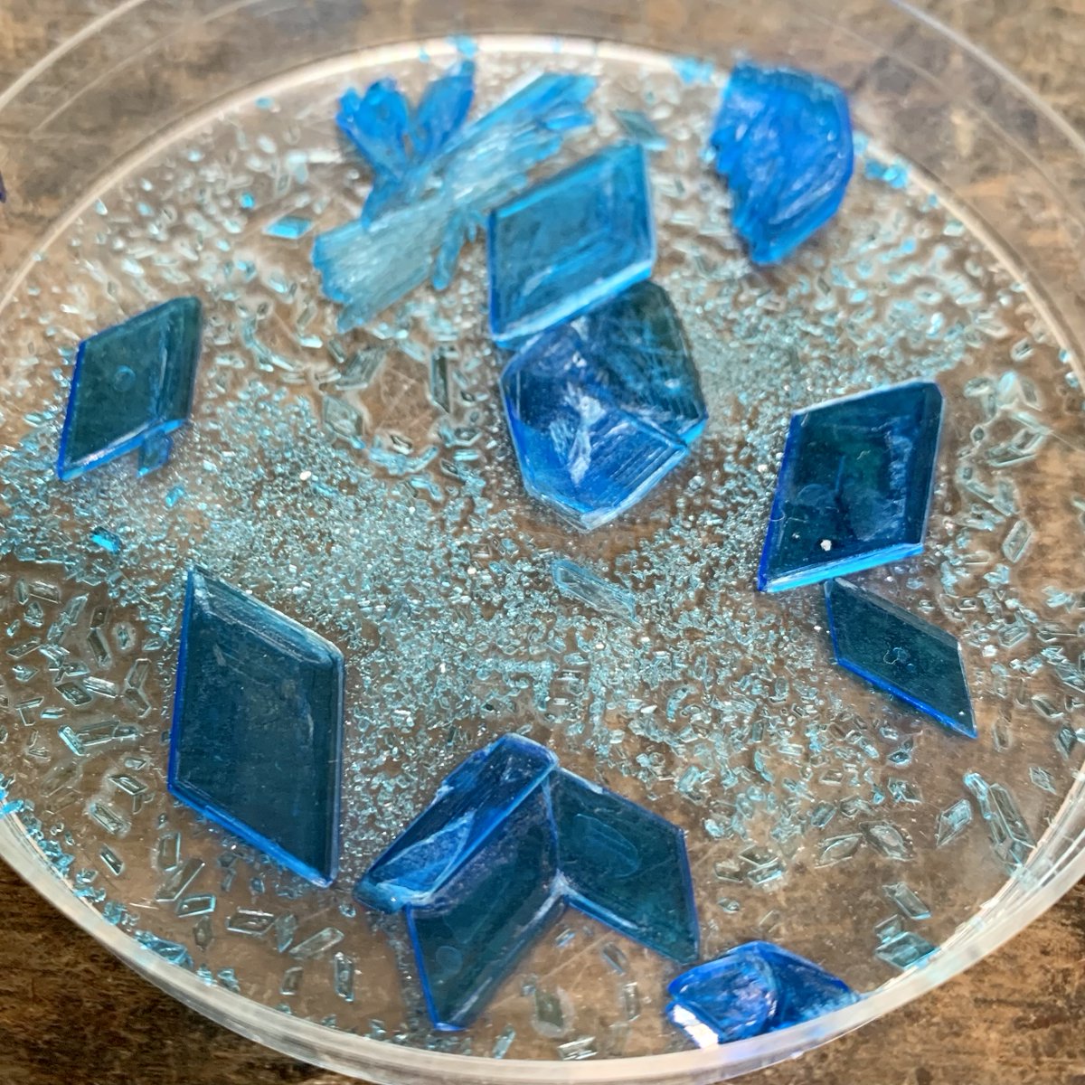 Dovercolscience's tweet photo. These beautiful copper sulfate crystals were made by 4th form students yesterday https://t.co/Ru0egoEClA