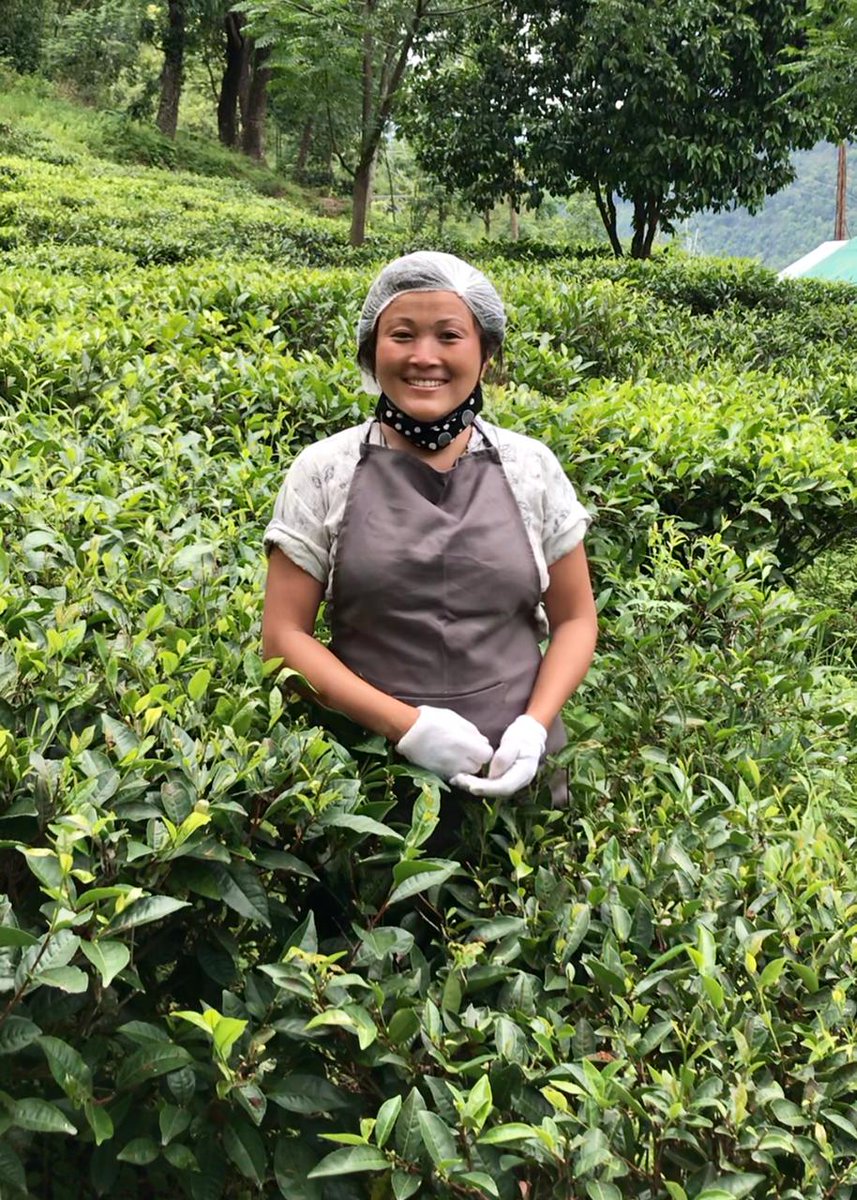 TCTradeJournal's tweet photo. Teabox celebrates tea picking community with Kalpana 2022 First Flush Teas: https://t.co/WYEOJKVDDN @TeaboxTea #tea #firstflush #teapickers #teaindustry https://t.co/xQ2fGf6Hm7
