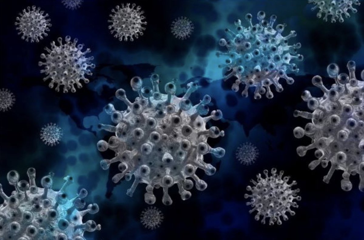 elbanqueteweb's tweet photo. "Los virus están presentes en la tierra probablemente desde los inicios de la vida y son las entidades biológicas más comunes y abundantes de la tierra. Como dijo el escritor científico Carl Zimmer: 'Este es un planeta de virus' (2011)". https://t.co/2ZBdhAcqkE https://t.co/VI6Nmd737B