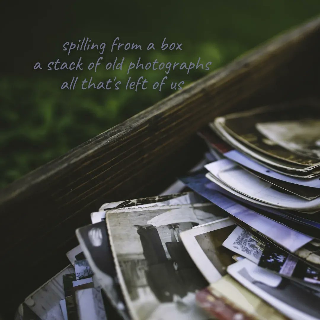thepixabaypoet's tweet photo. spilling from a box
a stack of old photographs
all that's left of us

Image by LEEROY Agency (https://t.co/orUACG71Ij) from Pixabay

#dailyhaiku #dailypoem #haiku #madewithpixabay #poem #poetry #poetrycommunity #rtitbot #writer #writerslift #writing #writingcommunity https://t.co/4UwPBSnewB