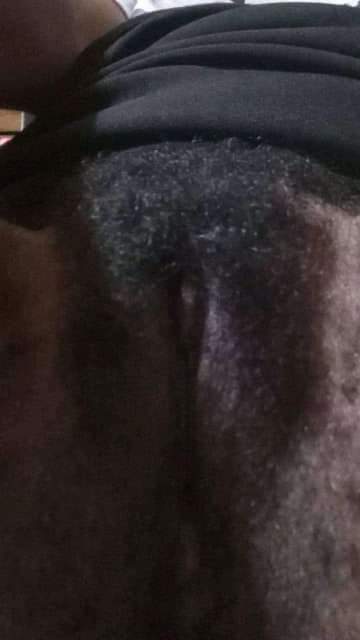 Viralsex Papua tweet media