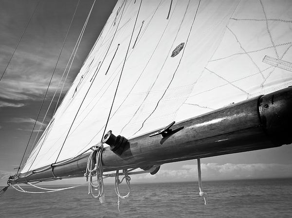 GRIDERIMAGES tweet media