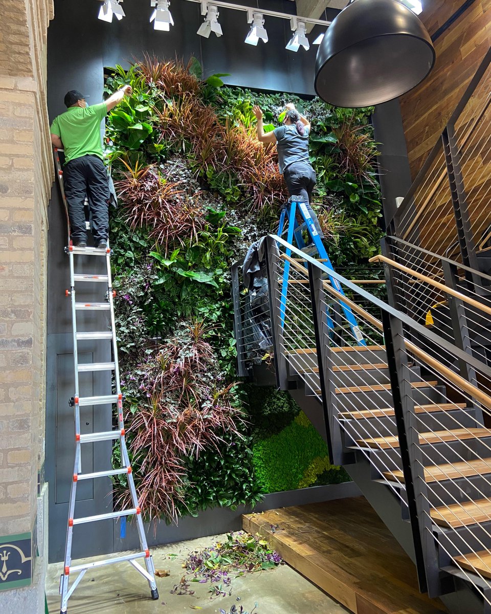 NaturaHQ's tweet photo. Think you have the perfect area for a Living Wall in your space, but don't know where to start? Click the link below to learn more about Living Wall/Green Wall systems and schedule a consultation, today!π
https://t.co/o28SJN0SUV
#stayPLANTED #KEEPitREAL #PEOPLETHRIVE #Natura https://t.co/Cox3bKfBVO