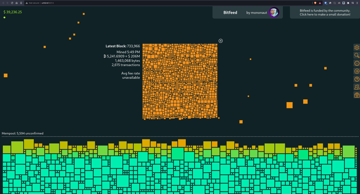 virtualc4t's tweet image. #BTC @umbrel #bitfeed App 🥰