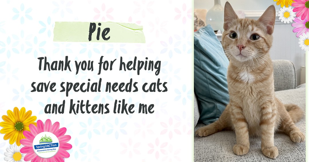 We want to extend our heartfelt thanks to everyone who cared, shared, and donated during the #Spring2ACTion2022 one-day, online fundraiser. It means the world to our volunteers knowing that we have supporters like you 💕…

📸 instagram.com/p/Cc5o7axKZor/ via tweet.photo