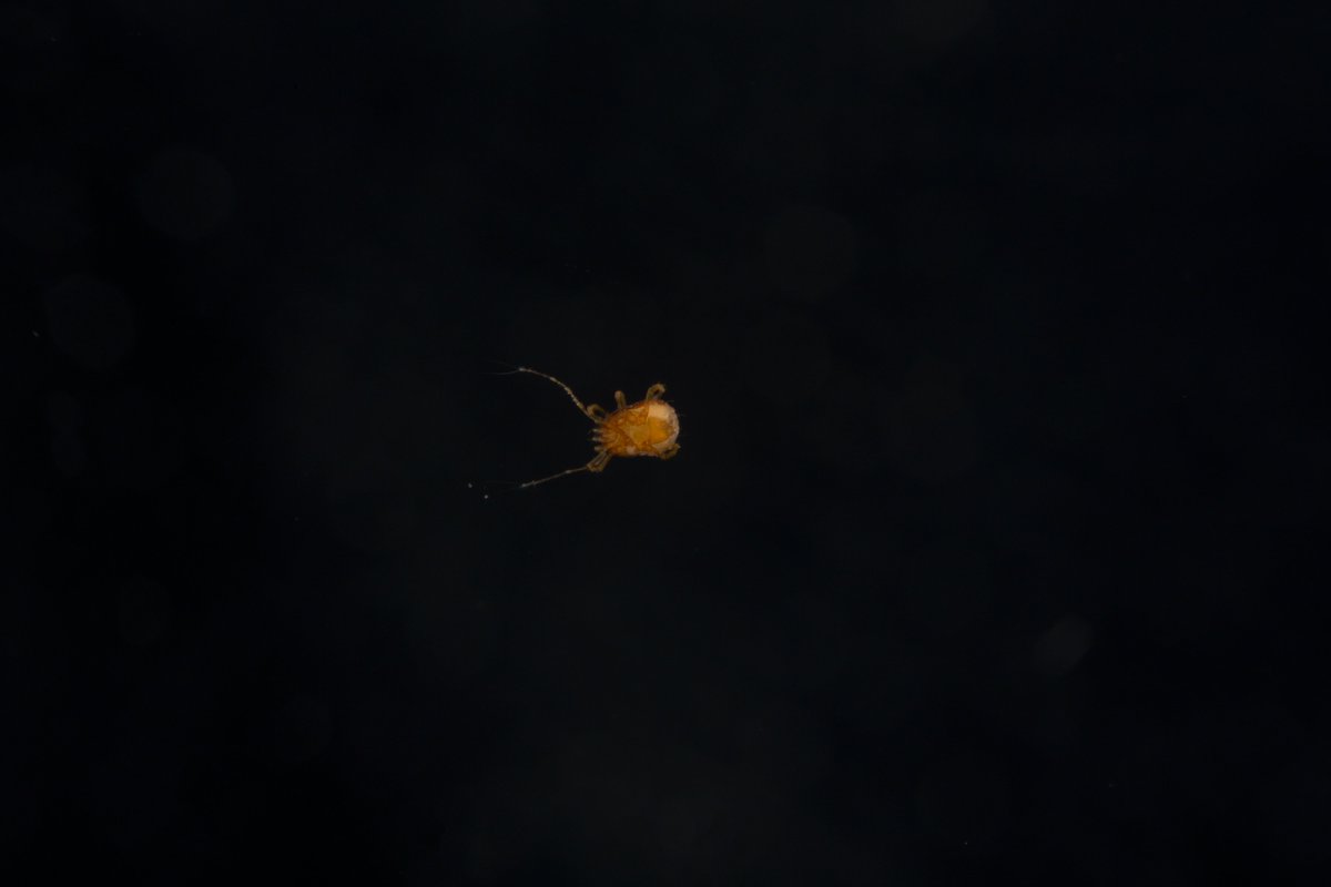 G Harrison, MS 🏳️⚧️ tweet media