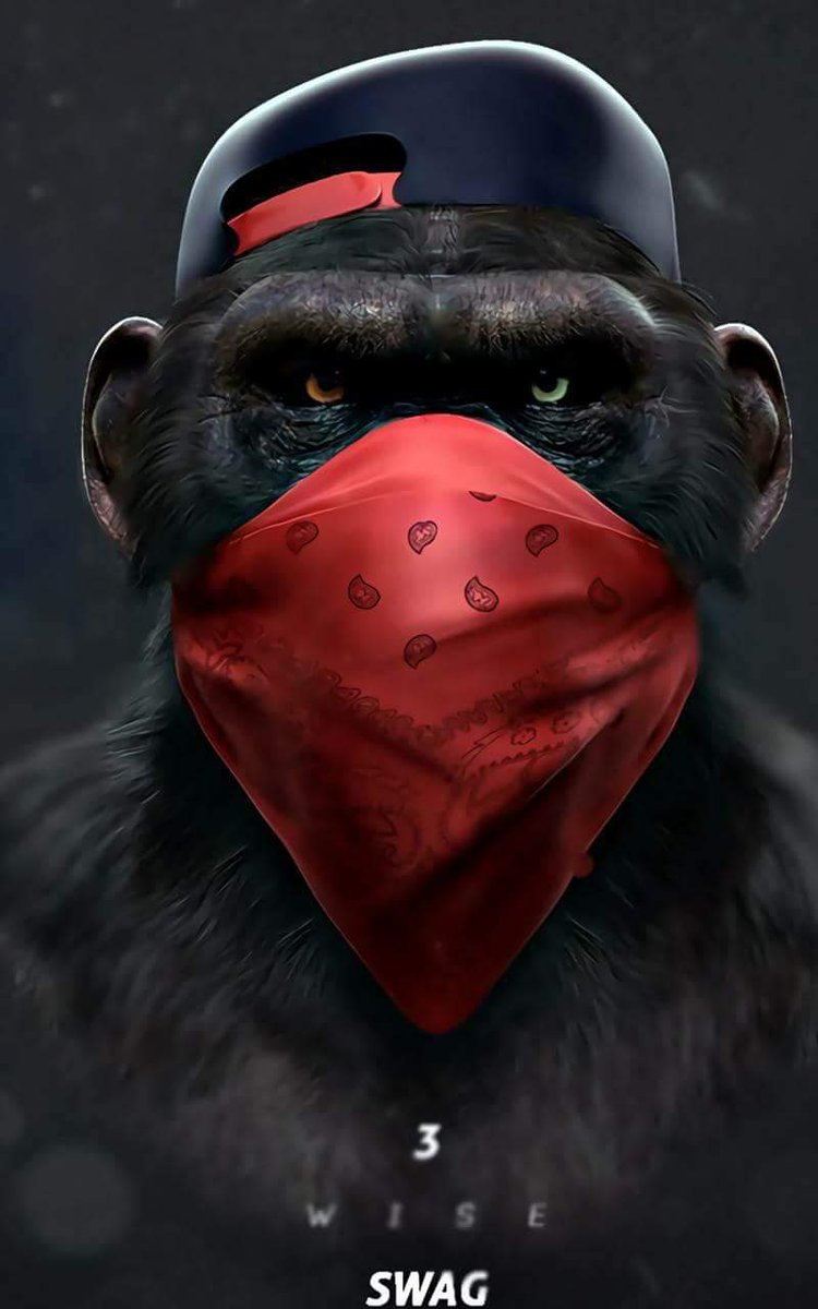 Nik_Bo tweet picture
