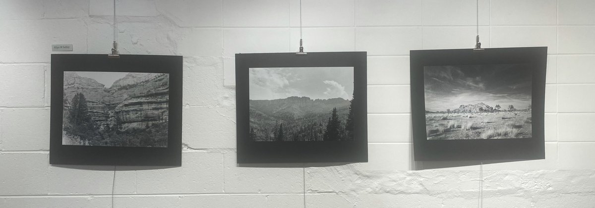 sbttrsweet's tweet photo. Spring Art Show Reception at BHS is tonight from 5-6. Senior awards are at 5:30 pm. @220Arts https://t.co/AiKSyxVujU