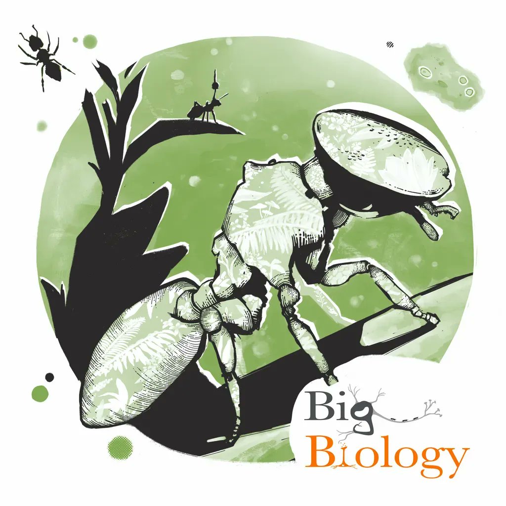 Out now!! Episode 83: The Amazon in us
A conversation with <a href="/CorrieMoreau/">Dr. Corrie Moreau</a> of <a href="/Cornell/">Cornell University</a> about the fascinating relationships between hosts and the microbes living with them. We also discuss what good #scicomm means to her! 

Click the link below to listen!
buff.ly/3l2wKsV