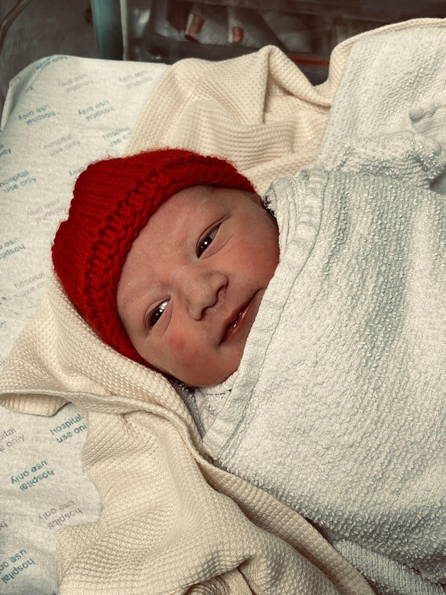 axmx__'s tweet photo. I never knew it was humanly possible to love something so small, Brody I can’t wait to do life with you… thank you for choosing me to be your mummy 28•04•22 💙 https://t.co/mW80c6bThC