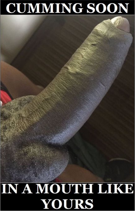 #sickboy13pscollection https://t.co/kh2IAj1nxe<a href="/tag/sickboy13pscollection"class="tags">#sickboy13pscollection</a>