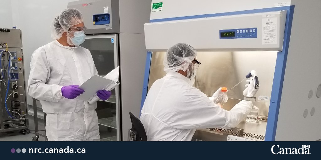 Do you know what causes the immune response when you get a vaccine? It’s a protein called an antigen. But where do antigens come from? 
Learn more about how we produce vaccines: ow.ly/E7mC50IUKKv 
#NRCHealth #DiscoverTheNRC #CdnBiomanufacturing