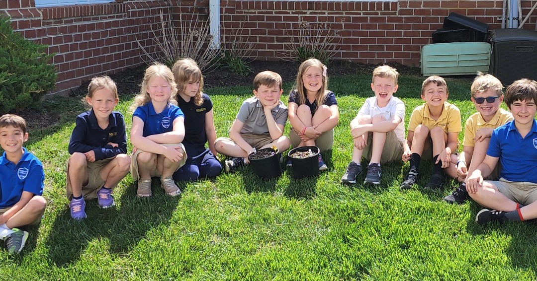 MillwoodSchool's tweet image. Our Bobcats in JK-6 collected and planted acorns last fall as part of a new Millwood tradition, the Class Legacy Tree. During STEAM we went out to check on our acorns and were surprised to see that we have seedlings sprouting from our acorns! #STEM #LegacyTree #MillwoodSchool