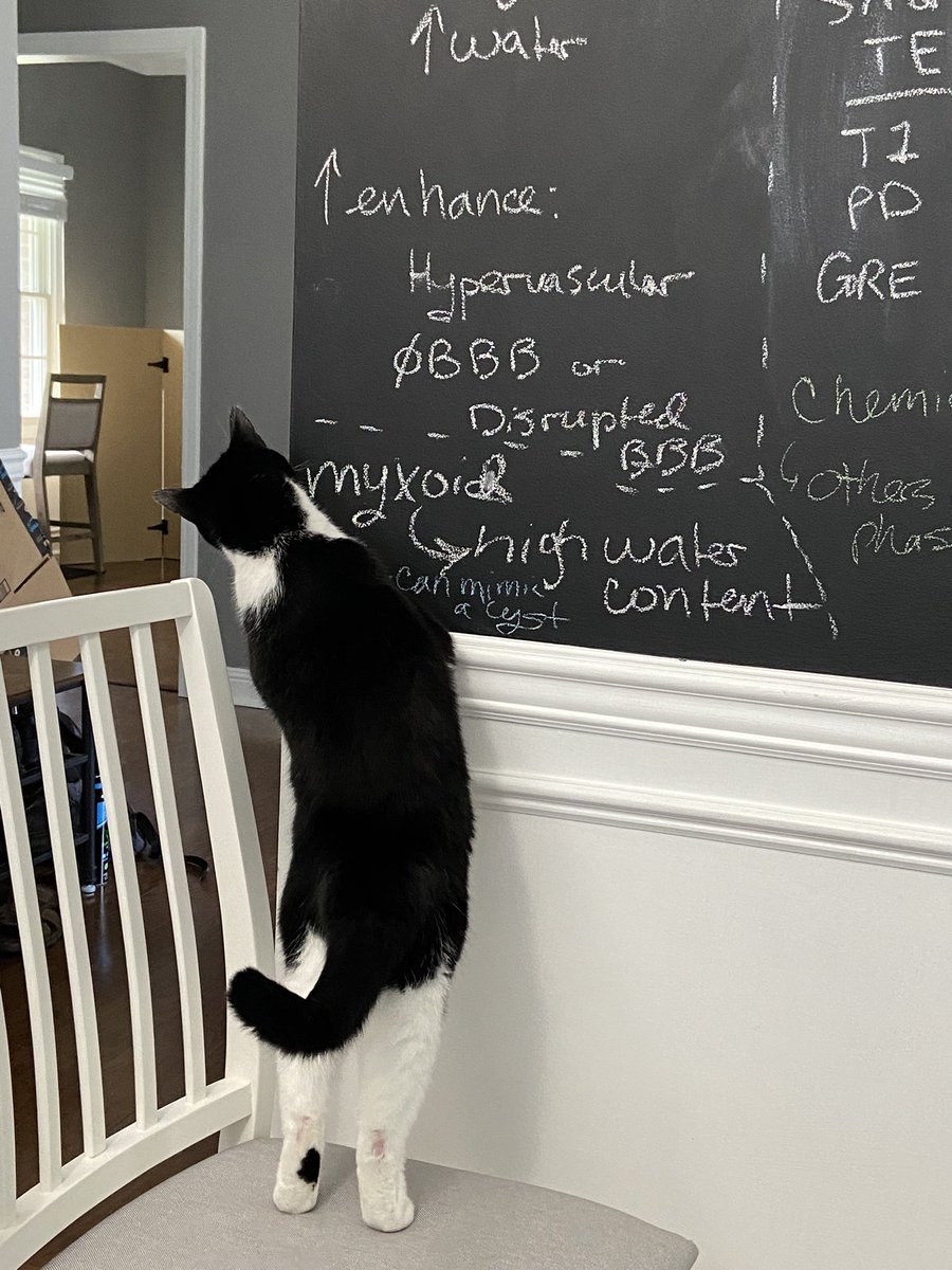 Katherine Copely MD tweet media