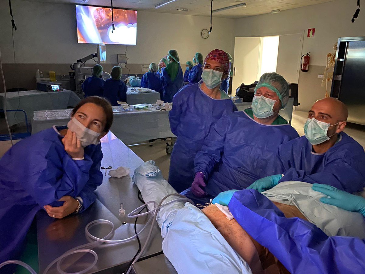 ElisaYorkMD's tweet photo. Una experiencia increíble en la IV jornada del grupo de trabajo de Cirugía Endoscópica de la mama, gracias @ItziarLarraaga5 por hacerlo posible! @aec_mama @BreastMe4 ojalá podamos seguir desarrollando técnicas innovadoras para nuestras pacientes #cancerDeMama @u_medicina https://t.co/TehD5lyGI7