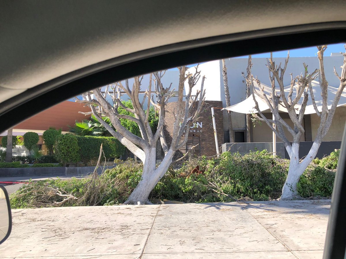 Caminantes del Desierto A.C. tweet media