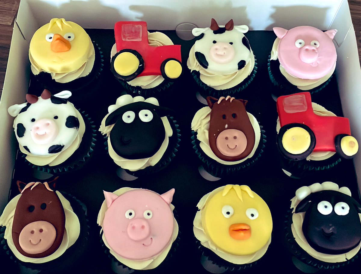 MrsYorkMixRadio's tweet photo. Suffering for my arts. This afternoons little delivery. Tell me youβre a caker without telling me youβre a caker π ππ» #cupcakes #foodcolouring #stainedforever https://t.co/S5Na7sbJwJ