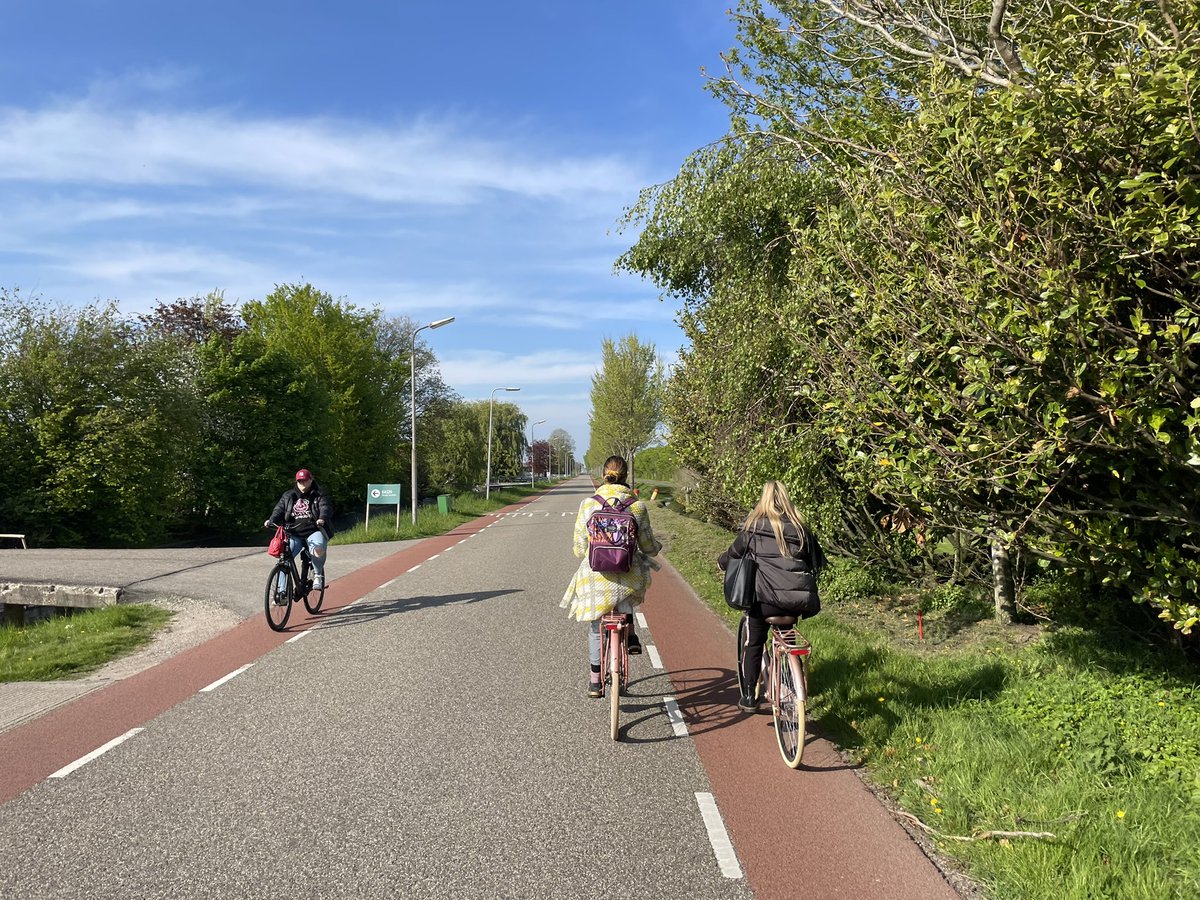 Plain Bicycle tweet media