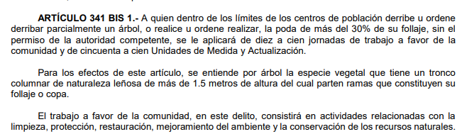 Caminantes del Desierto A.C. tweet media