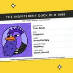 Photo by The Indifferent Duck (@IndifferentDuck)