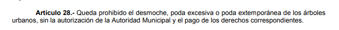 No se permite podar mas del 30% de las hojas de un arbol.  

<a href="/fiestamericana/">Fiesta Americana</a> 
<a href="/fgjesonora/">Fiscalía de Sonora</a>  @CIDUE_HMO  @PROAESON <a href="/HermosilloGob/">Gobierno de Hermosillo</a> 

Código Penal del Estado de Sonora
Ley Estatal del Arbol
Reglamento de Medio Ambiente de Hermosillo