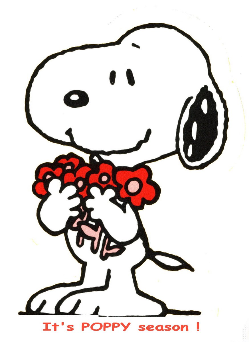 OfJwv's tweet photo. To have a Poppy U.S.-mailed to you, go to: https://t.co/wCXi1ERnGE https://t.co/B051sJnCPD