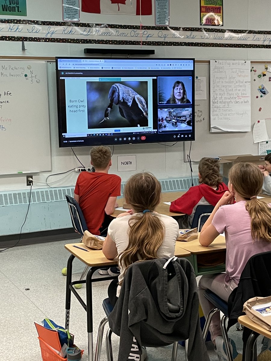dwpicker's tweet photo. @Sci_in_School #HooosInTheOwlPellet #grade5science #poplarridgeschool The kids were so engaged, slightly grossed out to begin with but very informative and entertaining. https://t.co/xzUyr3YYVH