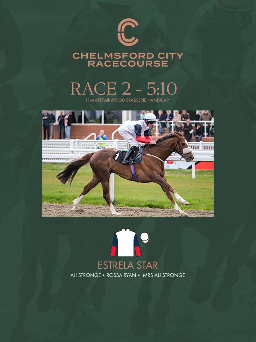 Chelmsford City Racecourse tweet media