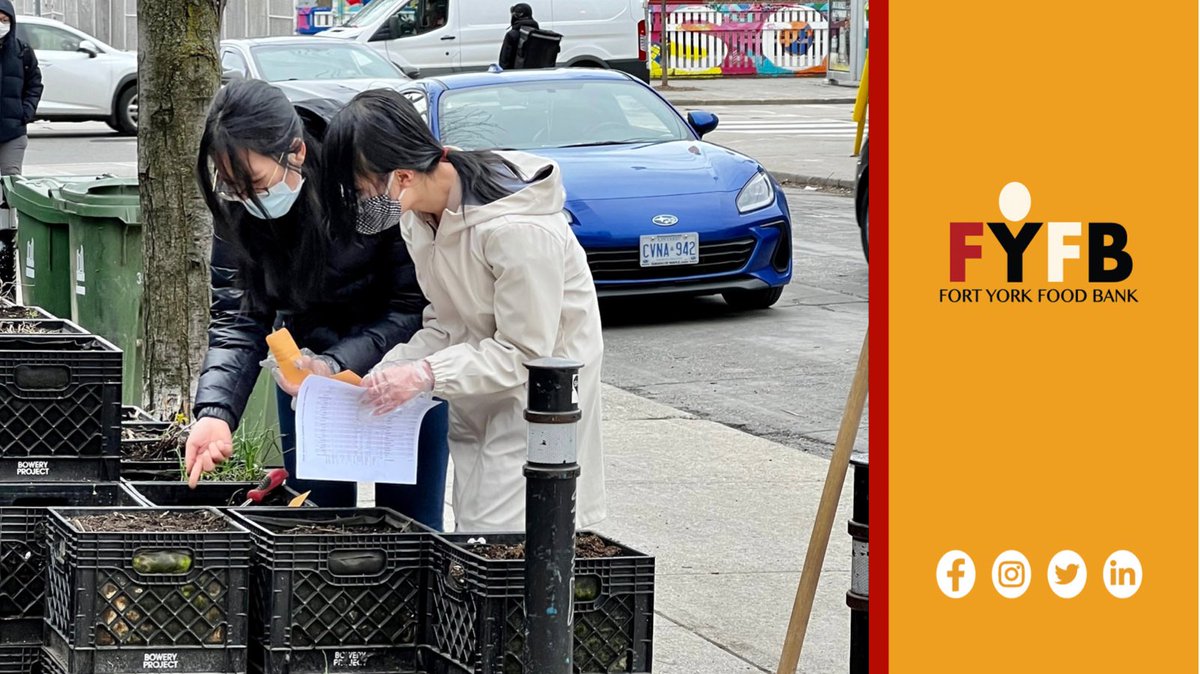 Fort York Food Bank tweet media