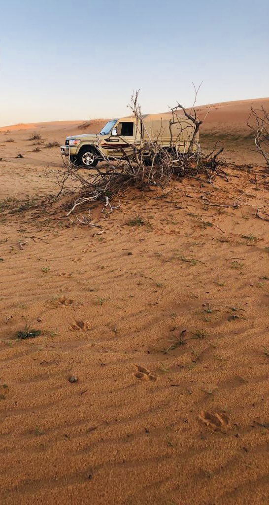 فرحتي بشوفته اكثر من فرحتي بالعيد