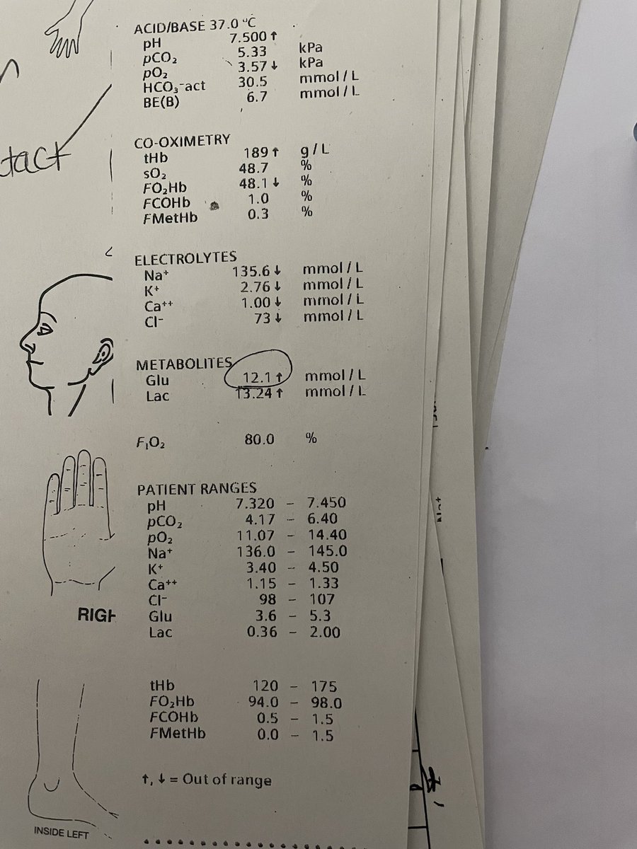 Ashley Miller tweet media