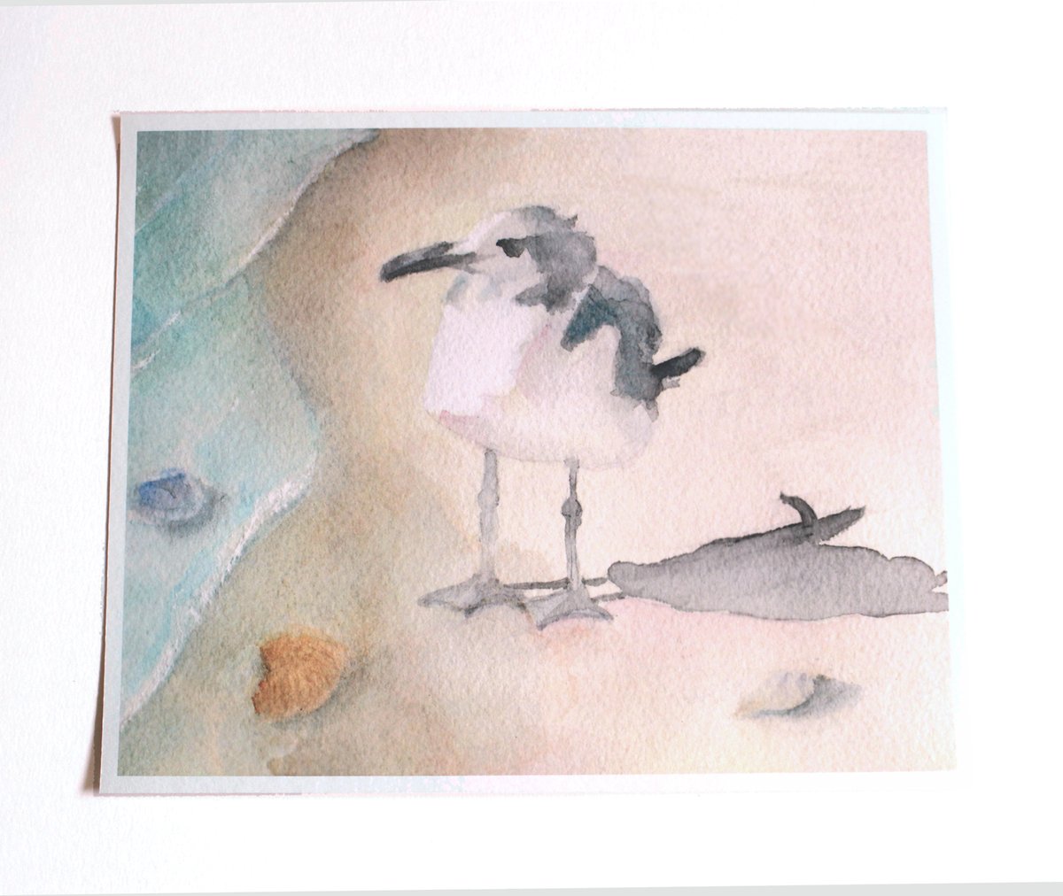 LisSycamoreWood's tweet photo. Watercolor Art Prints for the #beach Lover.
#BeachDecor #beachhouse #decorating #housewarming #MothersDay #giftsformom #wallart #homedecor #watercolor #artprints #sand #seashell #seabirds #crab #sandybeach #TMTinsta #shopsmall #SupportSmallBusinesses 
https://t.co/BuWpbLKxIj https://t.co/mPMPsZyudR