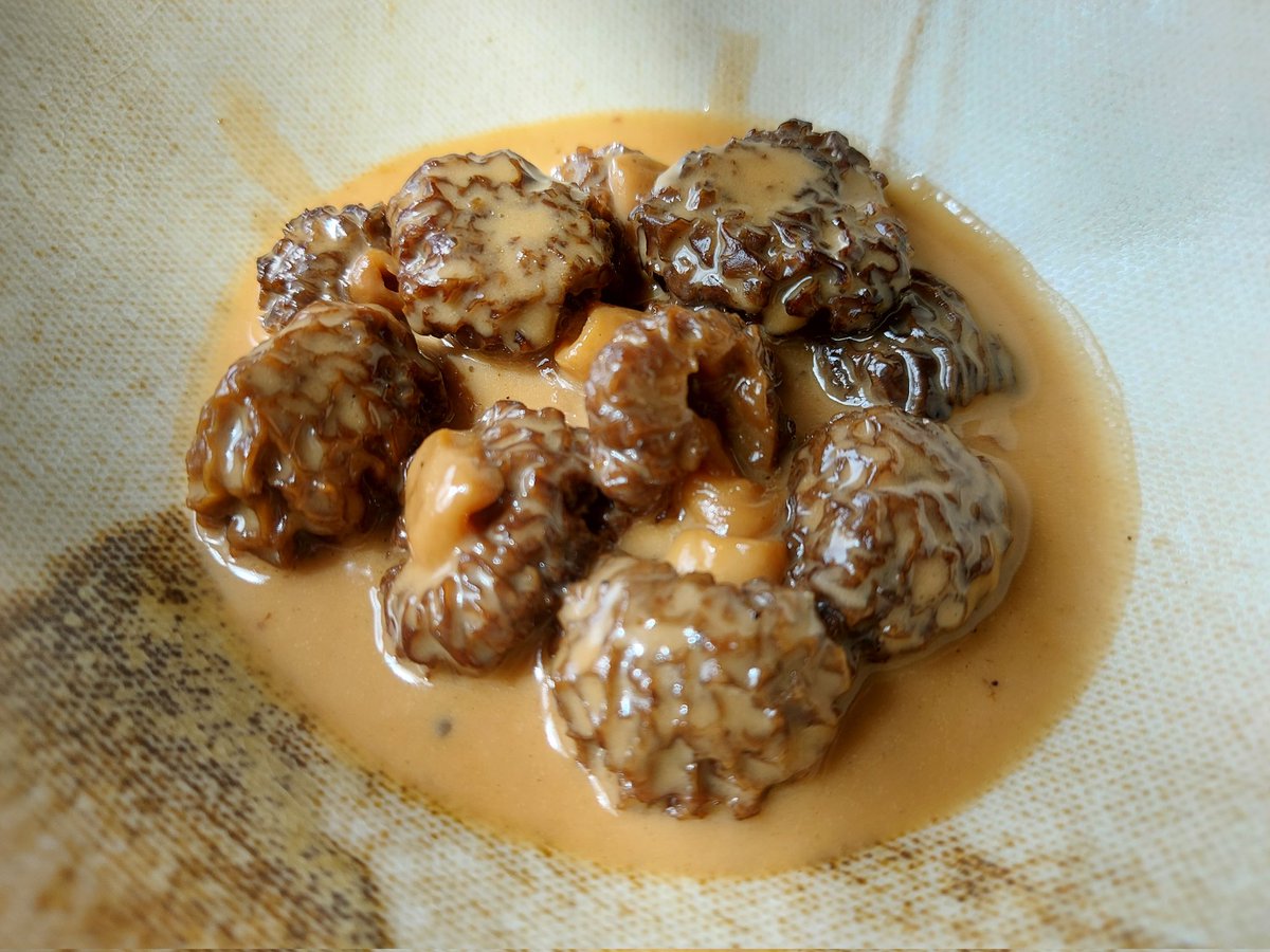 PhilippeRegol's tweet image. #HostaldeCalEnric 
Un espacio con gran terraza a solo 100m del rte gastronómico. Cocina de territorio evolucionada d Jordi Juncà, solo algo más informal q la casa madre, pero tb de gran nivel.
Colmenillas a la crema. Molleja con puré de patata y mostaza casera.
Xuixo a la brasa.