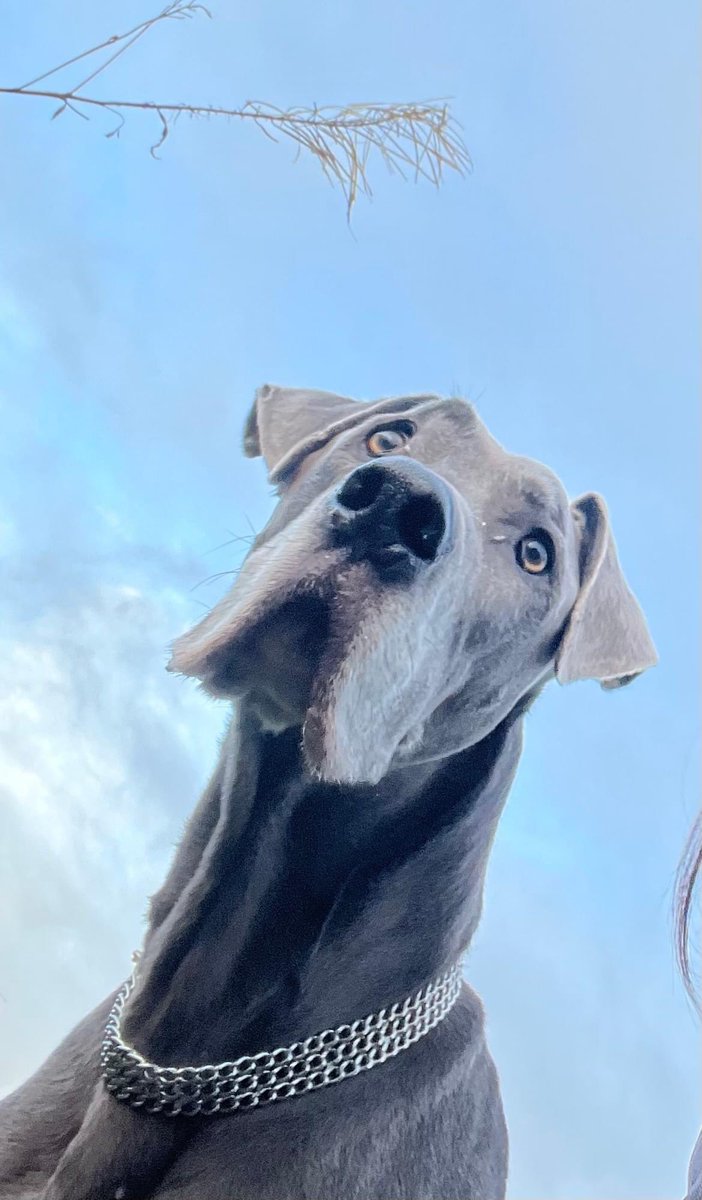 ᗰOᖇᗩG ᗰIᒪᒪIGᗩᑎ 🚍 tweet media