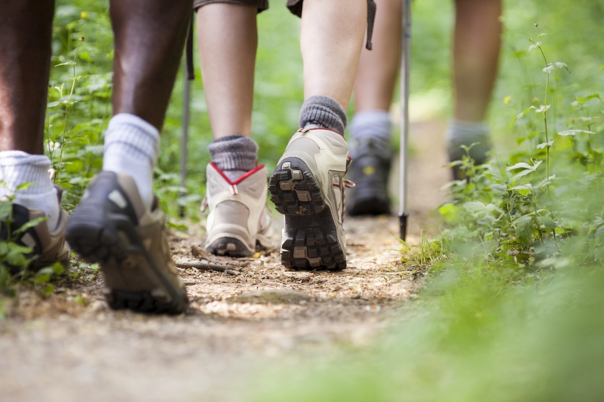 BracknellForest's tweet photo. Put a spring into your step, by joining one of our greenspace guided walks. πΆπ³
Find out about the 12 free guided walks we're running for residents this spring and summer, including how to book spaces. π https://t.co/8pQNP7A5oQ
Funded by the #CapabilityFund @transportgovuk https://t.co/NbdzcPSW5T