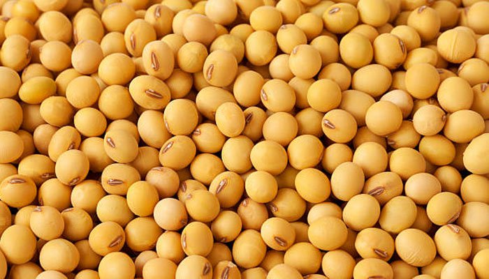 team_zim3's tweet photo. Trading in controlled products by either buying or selling without authority from the Govt still remains an offence which attracts a penalty, the @GMBdura has said @MoLAFWRD_Zim @PoliceZimbabwe @ZBCNewsonline @AgricNexus @ZAGPInfo @zimagricsociety @mufarowangu2 https://t.co/JExKKO5bLq