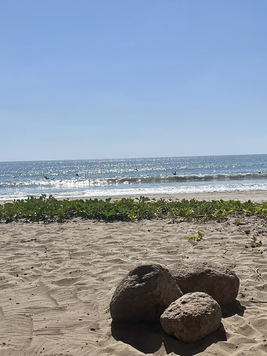 IsaabelTorres's tweet photo. Cuando yo me encuentre por tierras lejanas, Antes de olvidarte prefiero morir.🧡 https://t.co/PBl59WFXeJ
